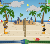 Hra - Tricky Duck Volleyball