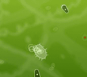 Hra - Microbe Kombat