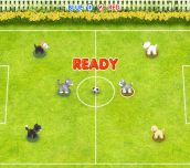 Hra - Pet Soccer