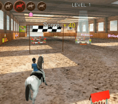 Hra - Horse Jumping 3D