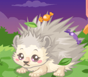 Hra - Hedgehog Care