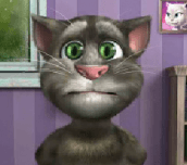 Hra - Talking Tom Cat 2