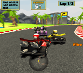 Hra - Go Kart Racing