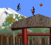 Hra - Ninja Temple run