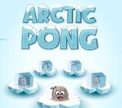 Hra - Arctic Pong