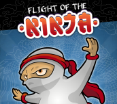 Hra - Flight of the Ninja