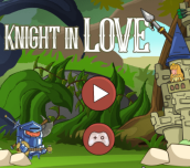 Knight In Love