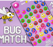Match Bug